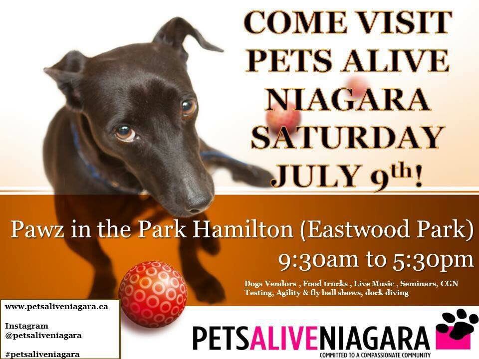 Visit us this Saturday! #adoptathon #summer #pawzinthepark #adoptme #nokillcommunity #loveyourpet #rescue #event