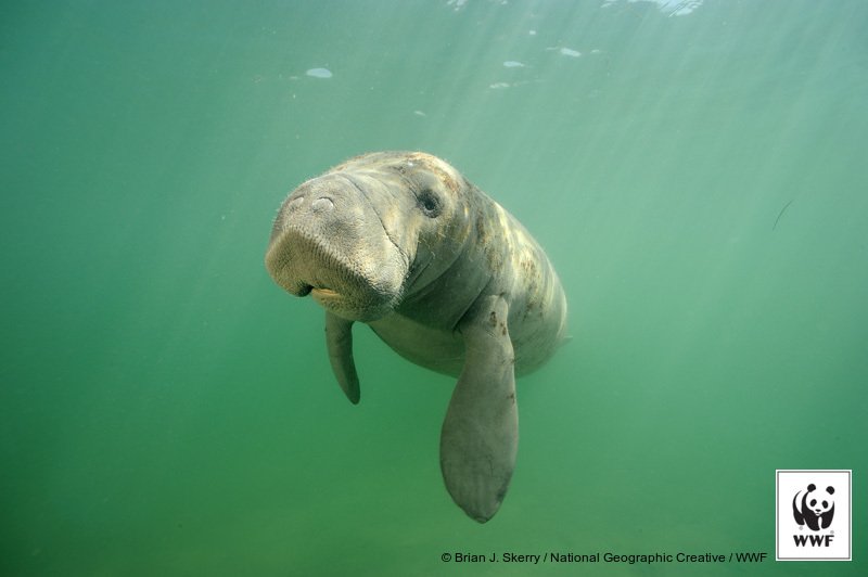 Together we can protect Belize’s reef, all its wonders &amp; the people who depend on it mo.nu/4cqD?uid=4pxD