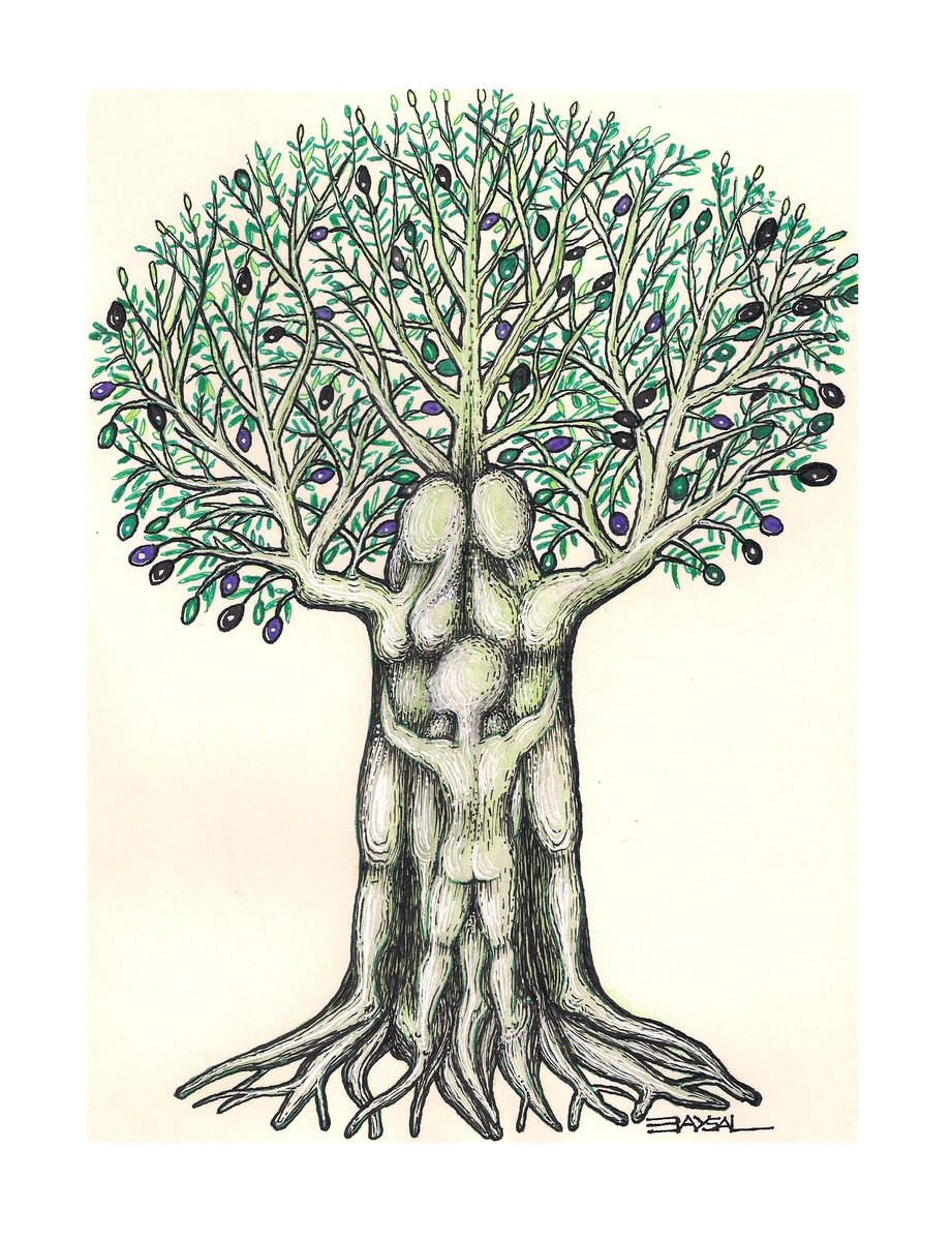 Ercan Baysal On Twitter Tree Olive Mom Father Child Family