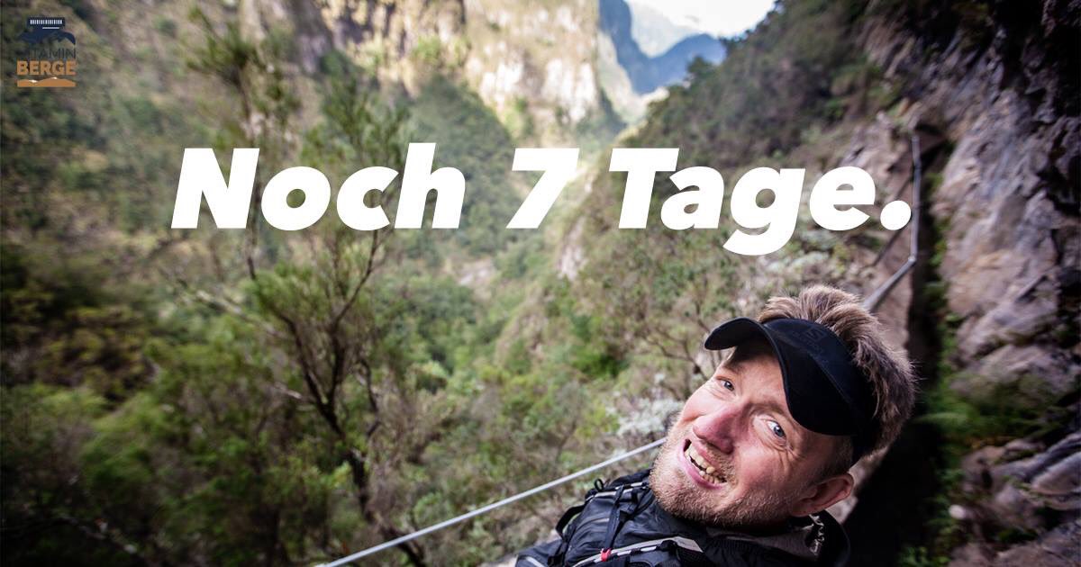 VitaminBerge tweet media