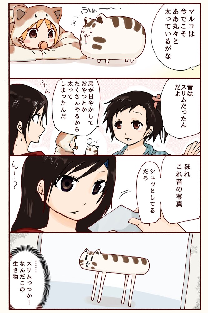 丸々猫マルコのひみつ
#ハッピィミリィ 