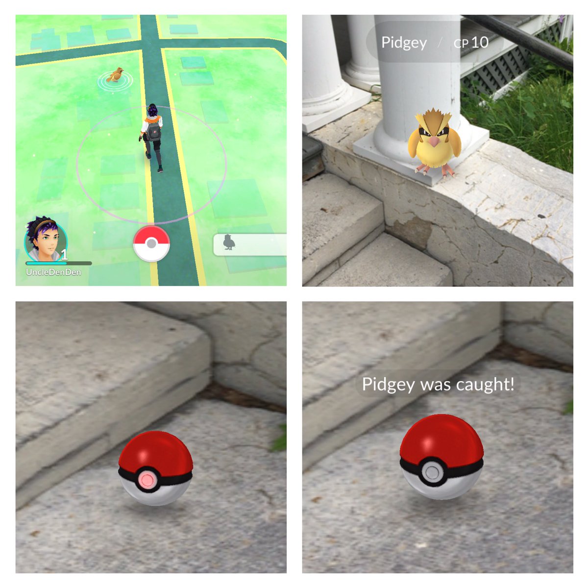 bubbybotches's tweet photo. Yes! I caught a Pidgey! ....... At the Saint Johnsville Community House! #PIPIKACHU #PokemonGO https://t.co/SQF6dwkKgn