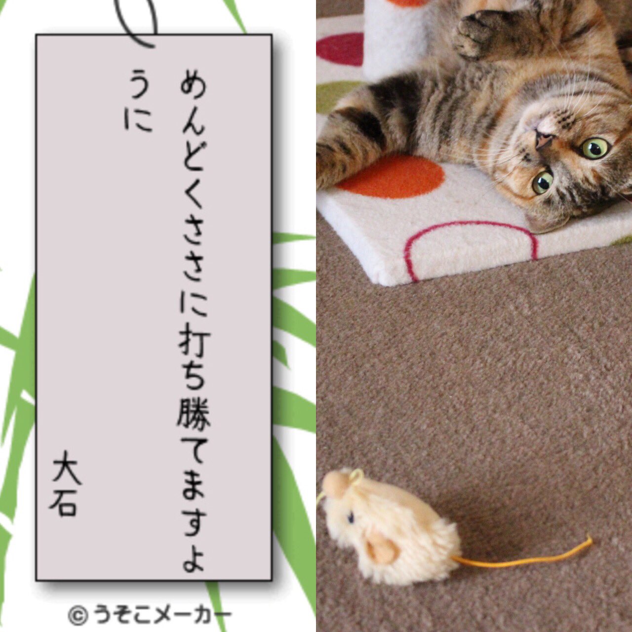 願い事メーカー16 Twitter Search Twitter