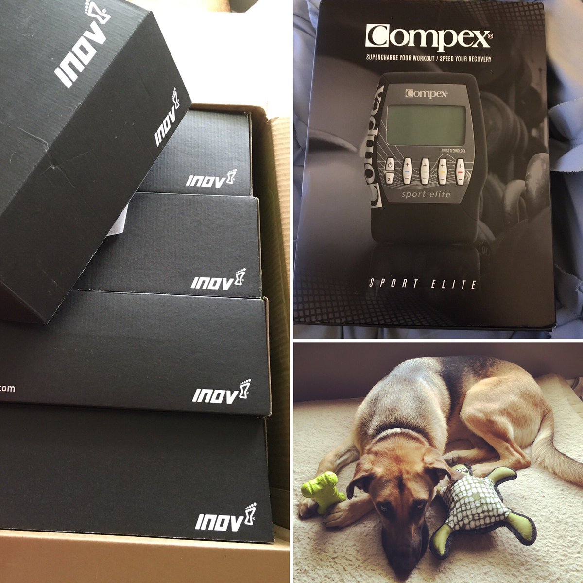 TheTigerPochita's tweet photo. My training/intervals just stepped up-which means Loki's intervals increased too! #SheIsNotHappy @inov_8 @Compex_INT https://t.co/rGEff3OtjS