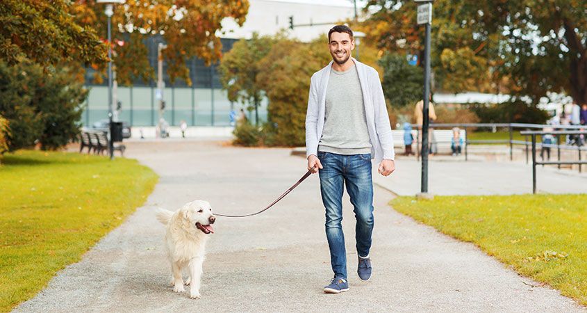 Today is National Father Daughter Take a Walk Day! Dads, have fun walking with your daughters and lady pets!