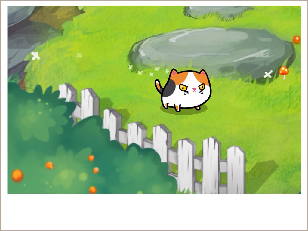 auua's tweet photo. Petting my cute cats in #FancyCats http://www.fancycatsgame.cdr, s https://t.co/x57BJs8oZ1