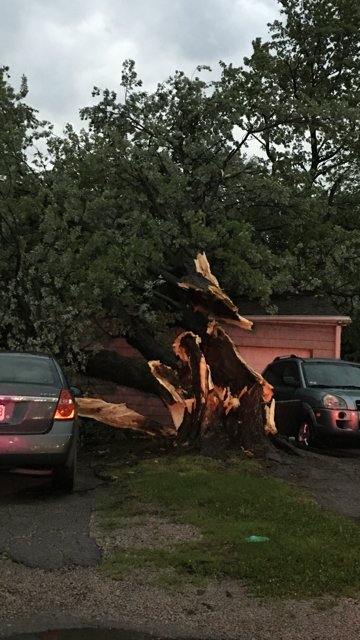 oakgrovepd's tweet photo. https://t.co/oInL38ms85