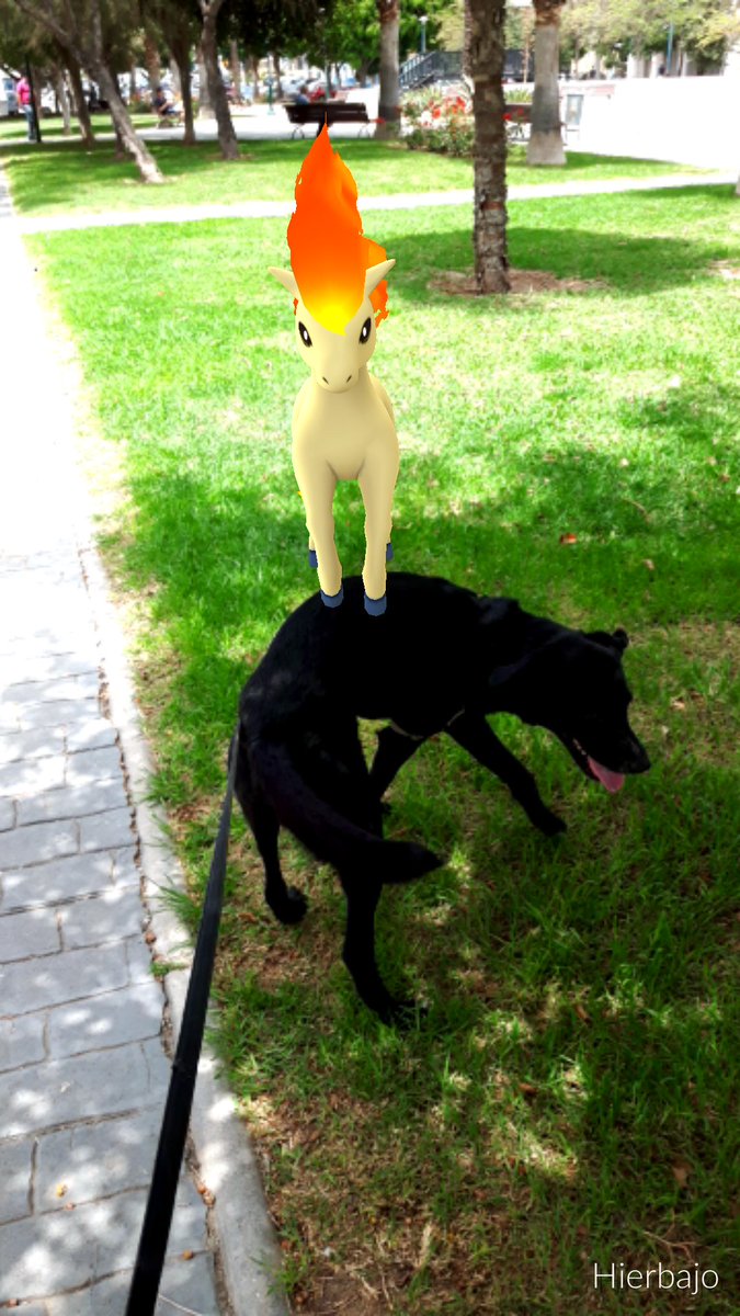 Hoja 🍃 tweet media