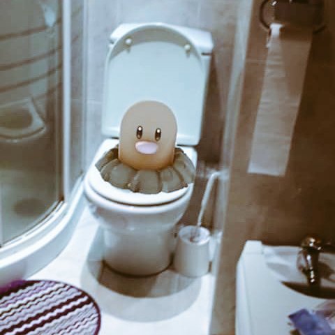 View image on Twitter