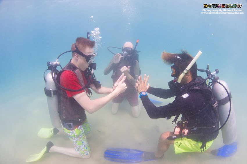 divedownbelow's tweet photo. #ConfinedWater briefing &amp; skills practice @divedownbelow wif @CampsInt @CampBorneo #Learning2Dive #TropicalParadise https://t.co/YNBIY8znQ2