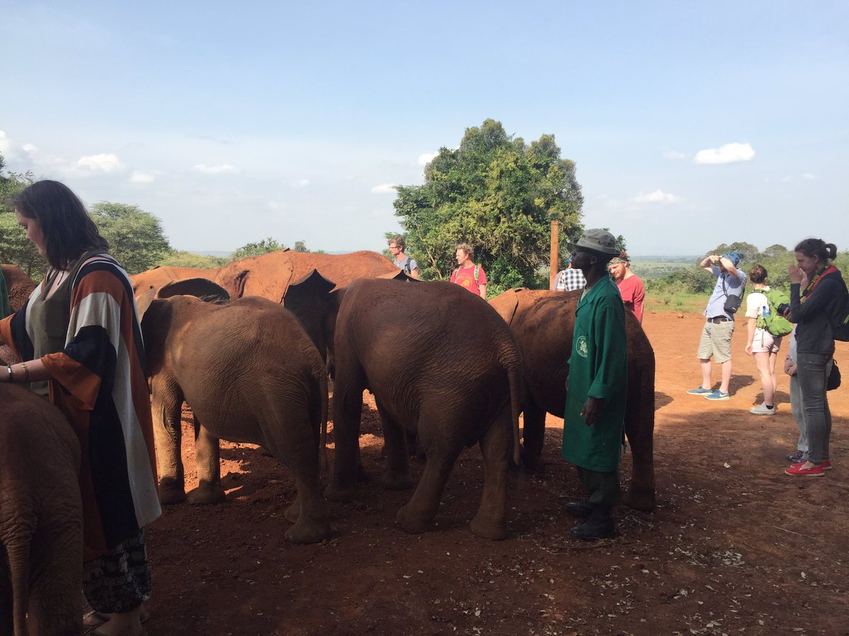 GURVE visits the Sheldrick Wildlife Trust #elephants #orphans #lifechangingexperience <a href="/UofGSciEng/">College of Science & Engineering, UofG</a> <a href="/UofGEngineering/">James Watt School of Engineering, Uni. of Glasgow</a>