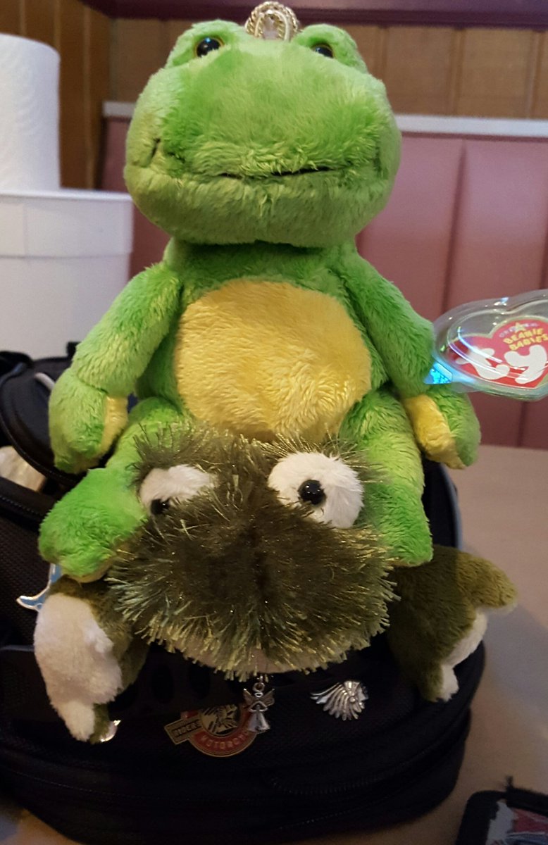 Lstegle57's tweet photo. #wowridein2016 Princess Frog and Froggie
#Scoutgirlsride
#womenonwheels https://t.co/U0wMRIdQdE