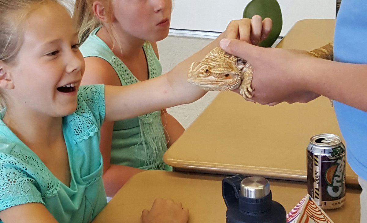 ourstbschool's tweet photo. Look who came to visit Camp Brain! #toledozoo #stboniface #stopsummerbraindrain #catholicschool https://t.co/YIfPRBiKY1