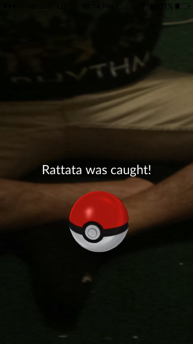BenWeibl's tweet photo. Rattata caught on David's dick. https://t.co/8c6HQ4JuOK
