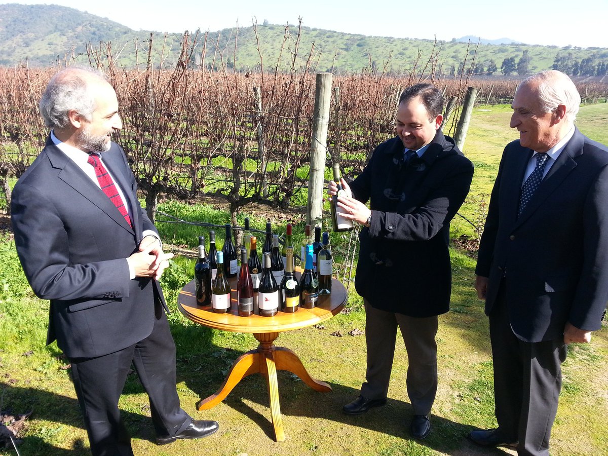 Inapi entrega Denominación de Origen al Vino del Valle de Casablanca.