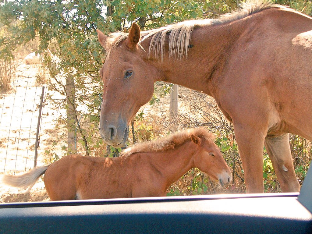 Siempre en buena compañía...