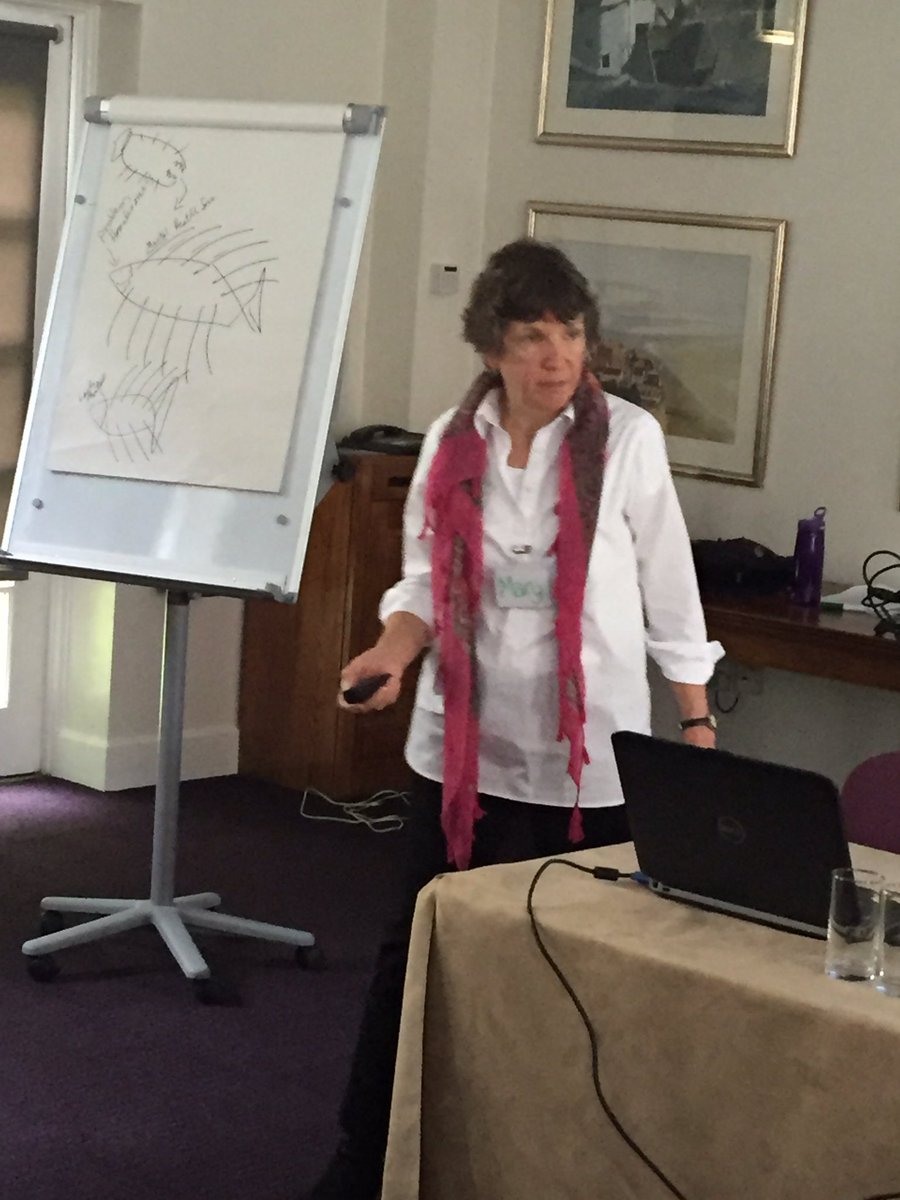 JoBardi's tweet photo. #NEDTC-PAR @SocialJusticeDU Mary Brydon-Miller demonstrating the fishbone diagram as a core problem solving tool. https://t.co/9iXnWmq0iQ