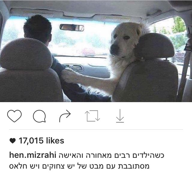 ofekasher111's tweet photo. הבן אדם הרג אותי https://t.co/uPdaCL9sZP