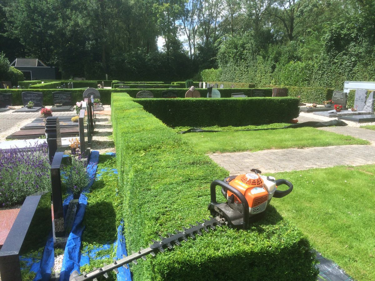 Taxus snoeisel tegen kanker: hagen begraafplaatsen Buren gesnoeid door st. Vergroot de Hoop iswm Avri <a href="/gemeenteburen/">Gemeente Buren</a>