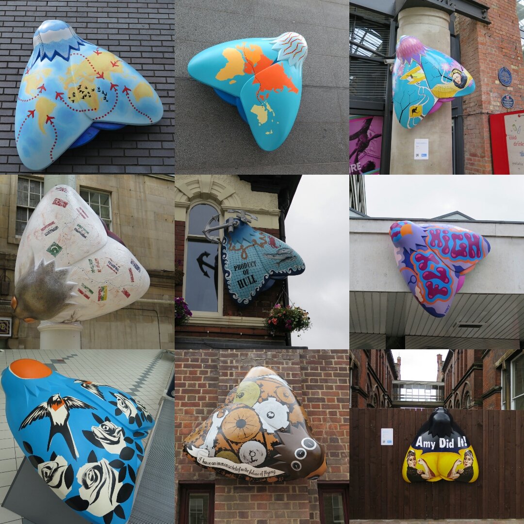 SHAC_Curator's tweet photo. A selection of some fantastic Moths we've spotted so far in Hull #amothforamy #amyjohnsonfestival @amy_festival https://t.co/UC3HifcPRt