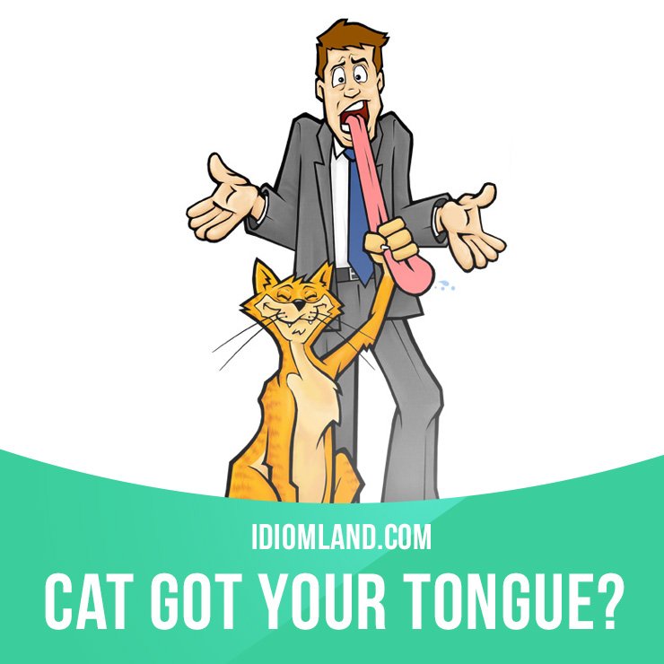 What Does Cat Has Your Tongue Mean