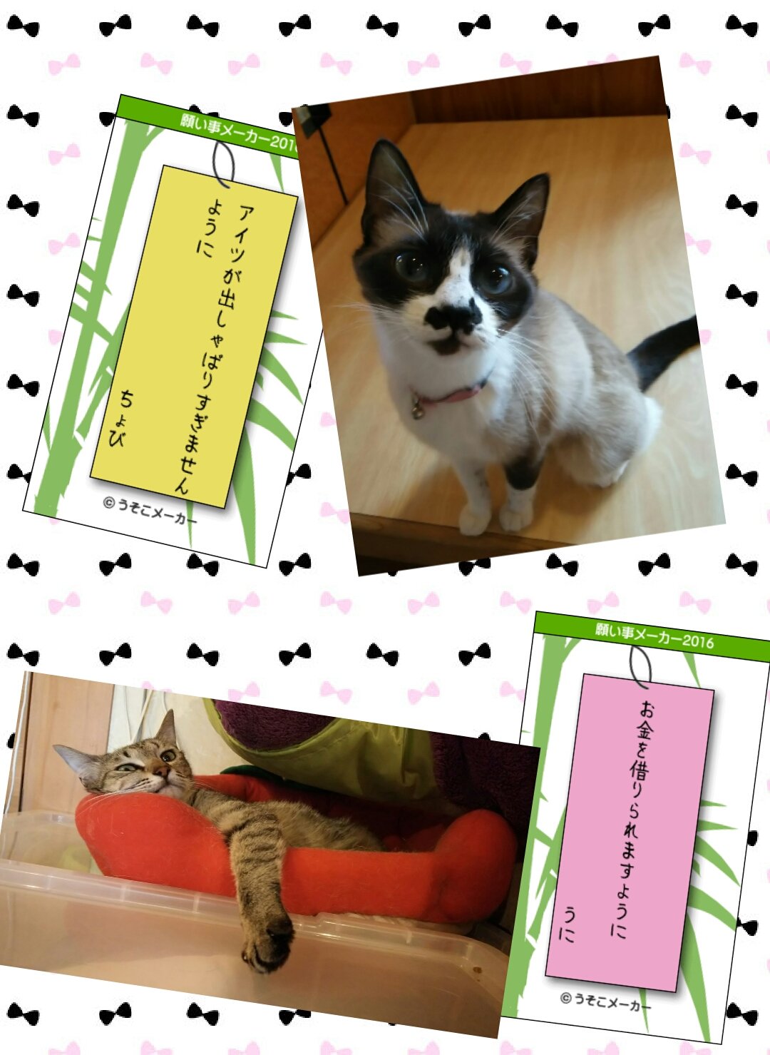 願い事メーカー16 Twitter Search Twitter