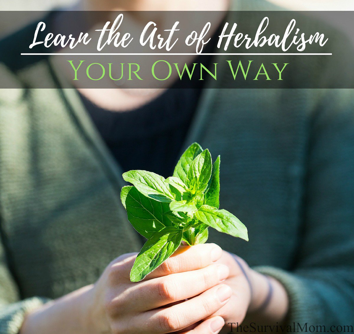ZombieSW's tweet image. Ever thought about learning Herbalism?  This is a good place to start: bit.ly/29t1W1X #survival