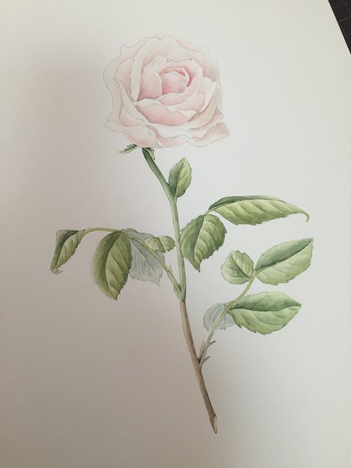 ロサのtwitterイラスト検索結果 古い順