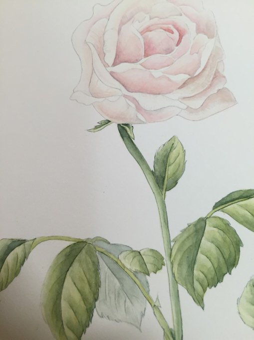 ロサのtwitterイラスト検索結果 古い順