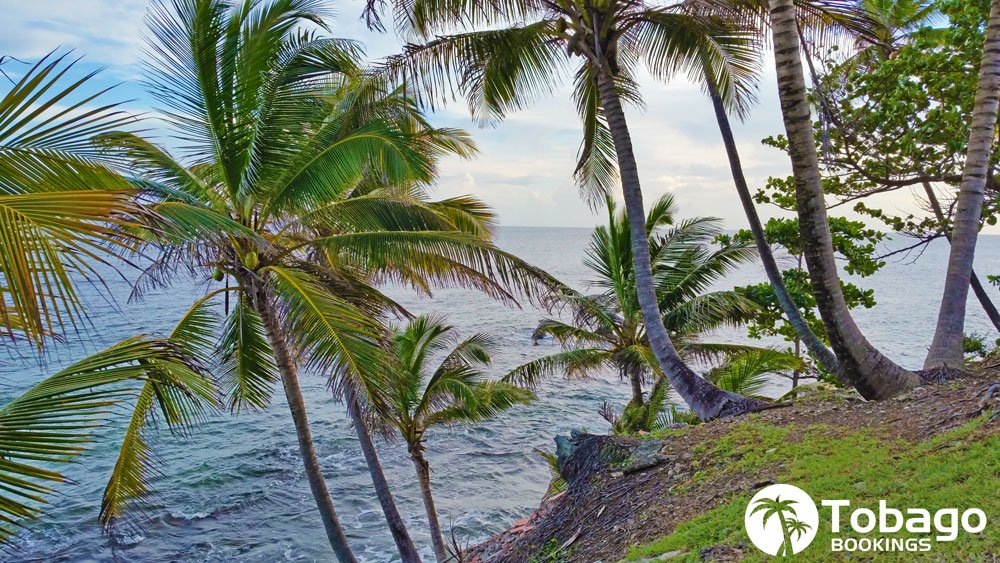 TobagoBookings's tweet photo. Finding a nice spot to relax in #Tobago is not hard to do. Anywhere you go, you'll have ample opportunity. #Bacolet https://t.co/mHc4dLMvK5