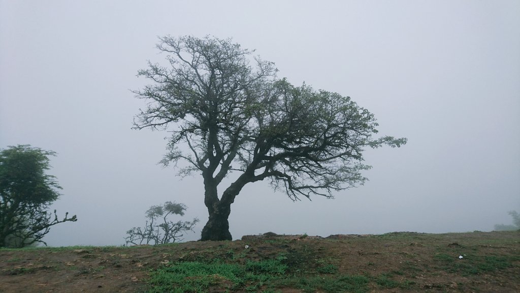 Electronicpart's tweet photo. I had great time on road #trip around #salalah #omain It was like walking between clouds #travelblogger #travel https://t.co/cKCsxLgYPT