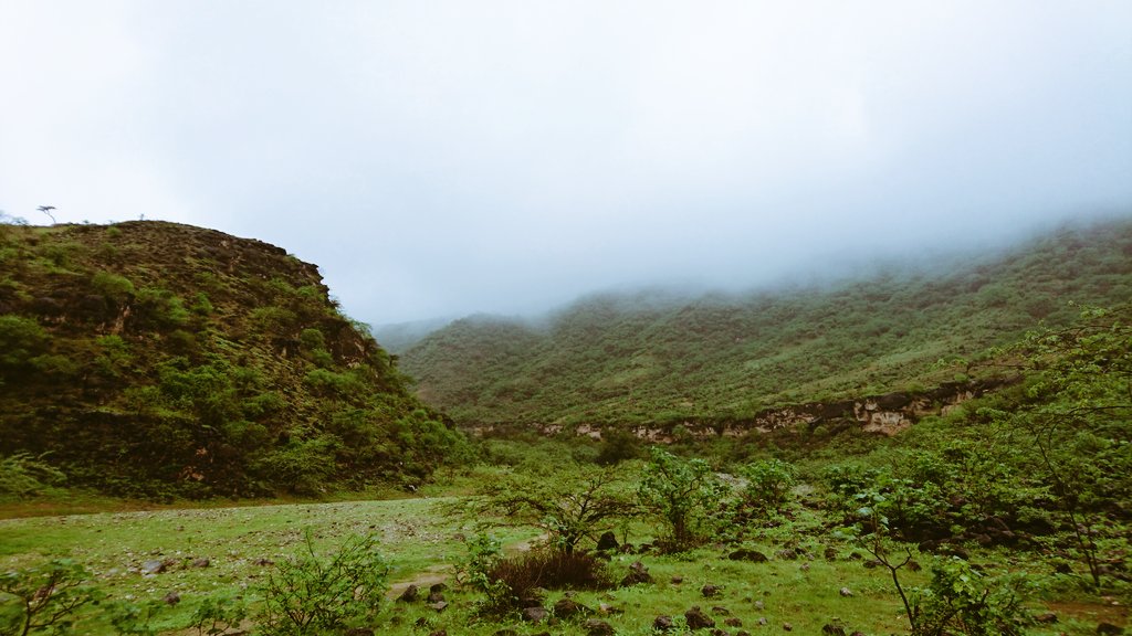 Electronicpart's tweet photo. I had great time on road #trip around #salalah #omain It was like walking between clouds #travelblogger #travel https://t.co/cKCsxLgYPT