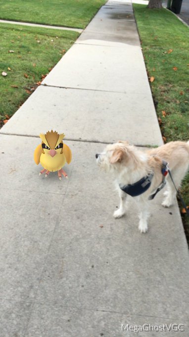 View image on Twitter