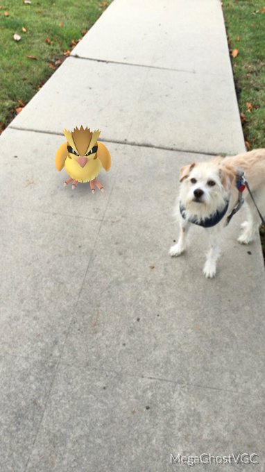 View image on Twitter