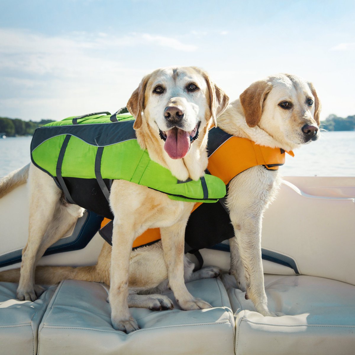 Our #ThursdayThoughts? Wishing we were on the boat with these two. RT if you're ready for some weekend boating.