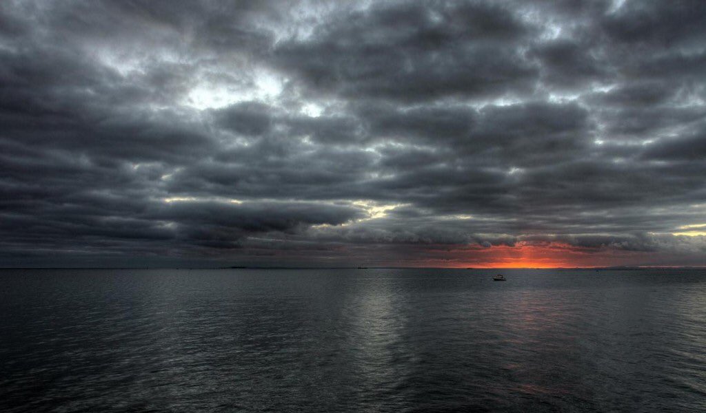 cRd_CS's tweet image. @AmandaTVo