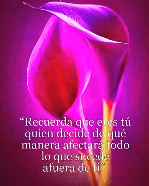 Image result for frases y pensamientos con con bellas imagenes