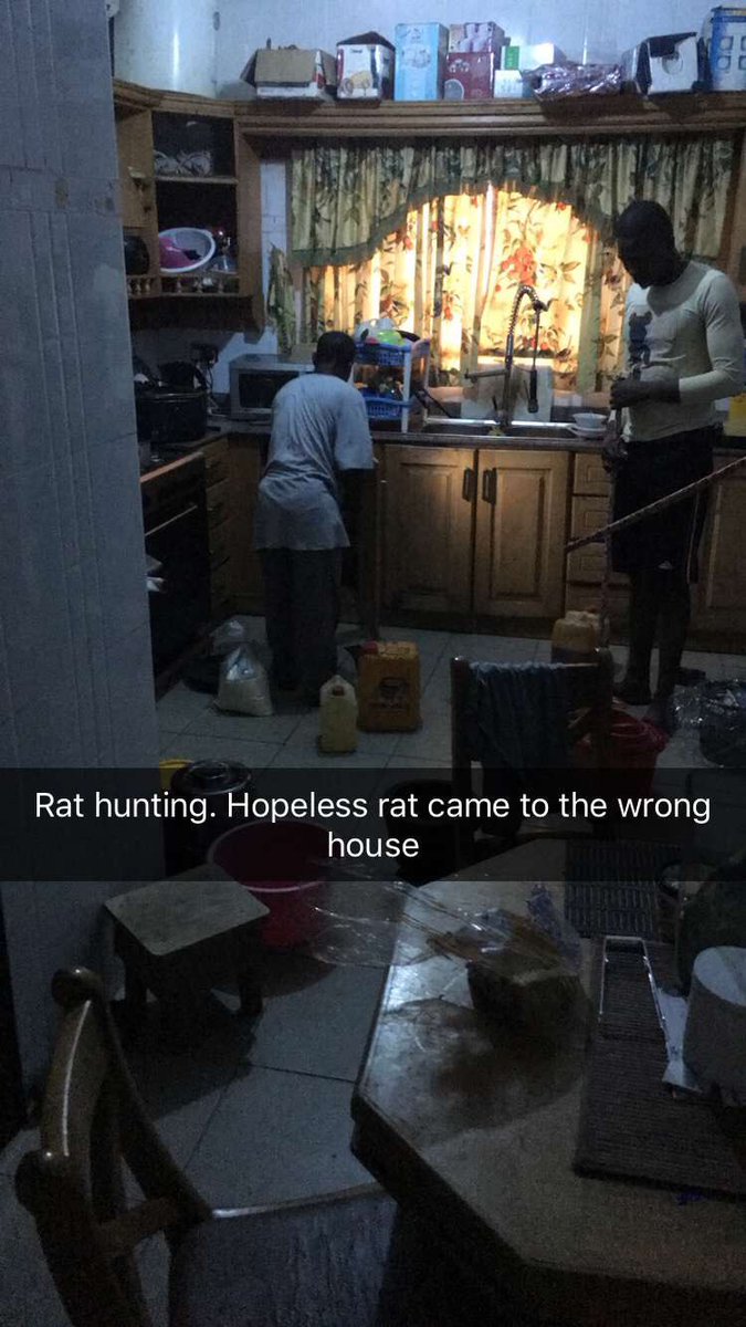 TweetMOPOL's tweet photo. Anti terrorist operation ongoing. Dunno what this one is avenging in my house. Get Updates on Snapchat (odoublec) https://t.co/bgbI2xhgM3