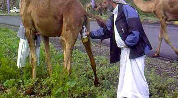 EmadHsoony's tweet photo. @hadi_ad122 https://t.co/1pwWGQlZ3h