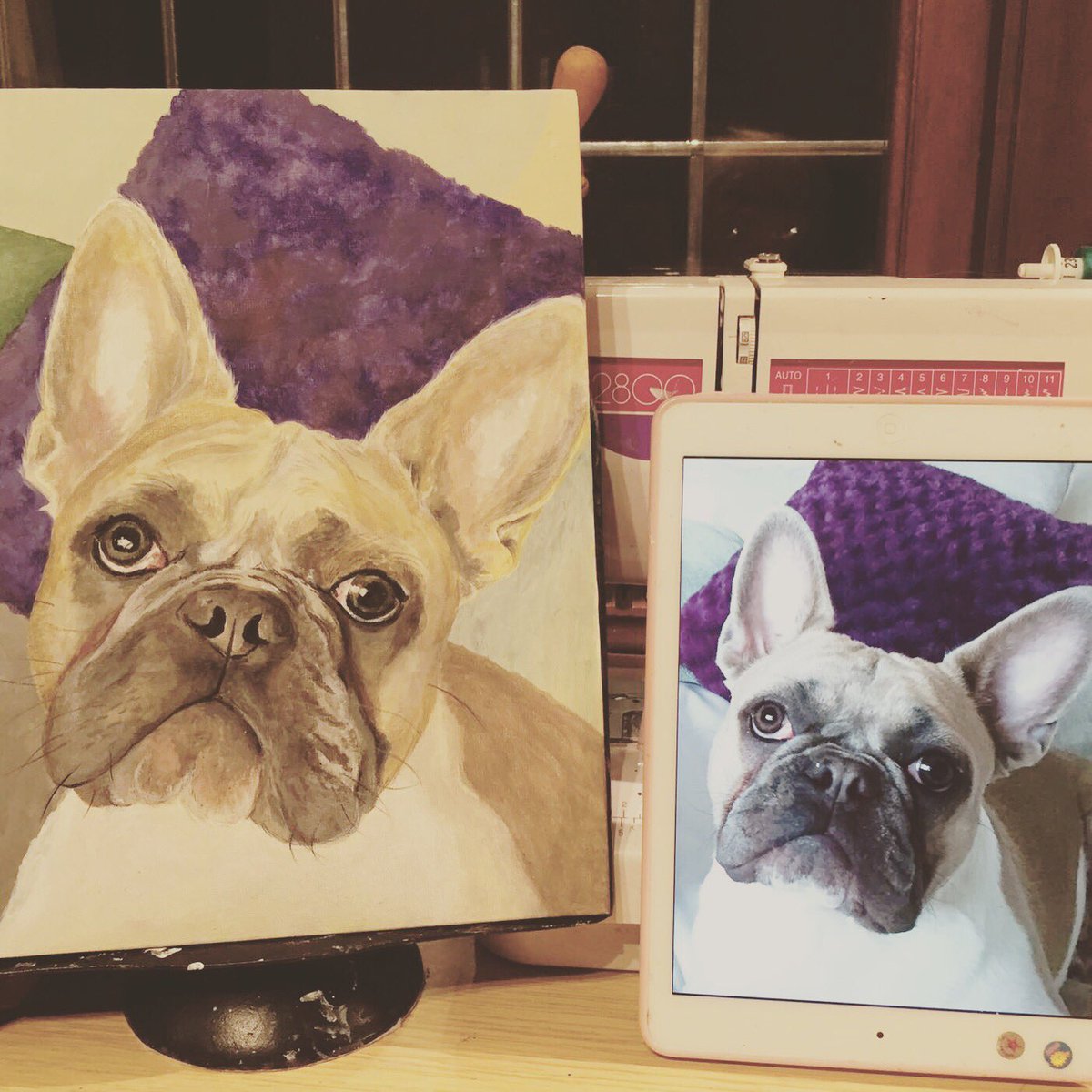 RocodogSpicer's tweet photo. Thank you @kizzypoo_dogportraits for my beautiful painting. #paintings #portraits #rocodog #frenchbulldog #dog #dogs https://t.co/ar1WMOtipJ