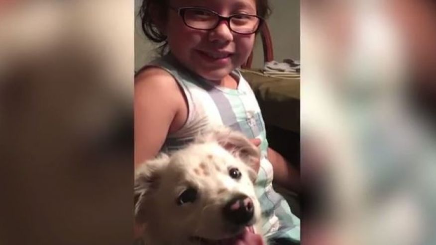 California girl born deaf teaching deaf puppy sign language fxn.ws/29z1y2t