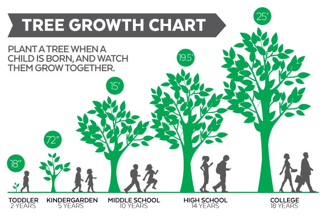 citybeautiful's tweet photo. Get your free tree through our #1Person1Tree program. Then help it grow --> https://t.co/hYCqvcTPIX https://t.co/gv7Y51cidH