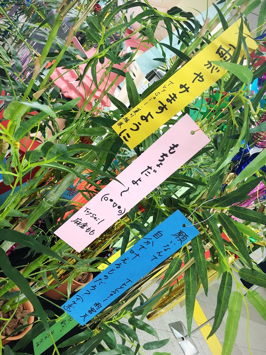 七夕プリ画 Hd壁紙画像を検索するための最大のサイト