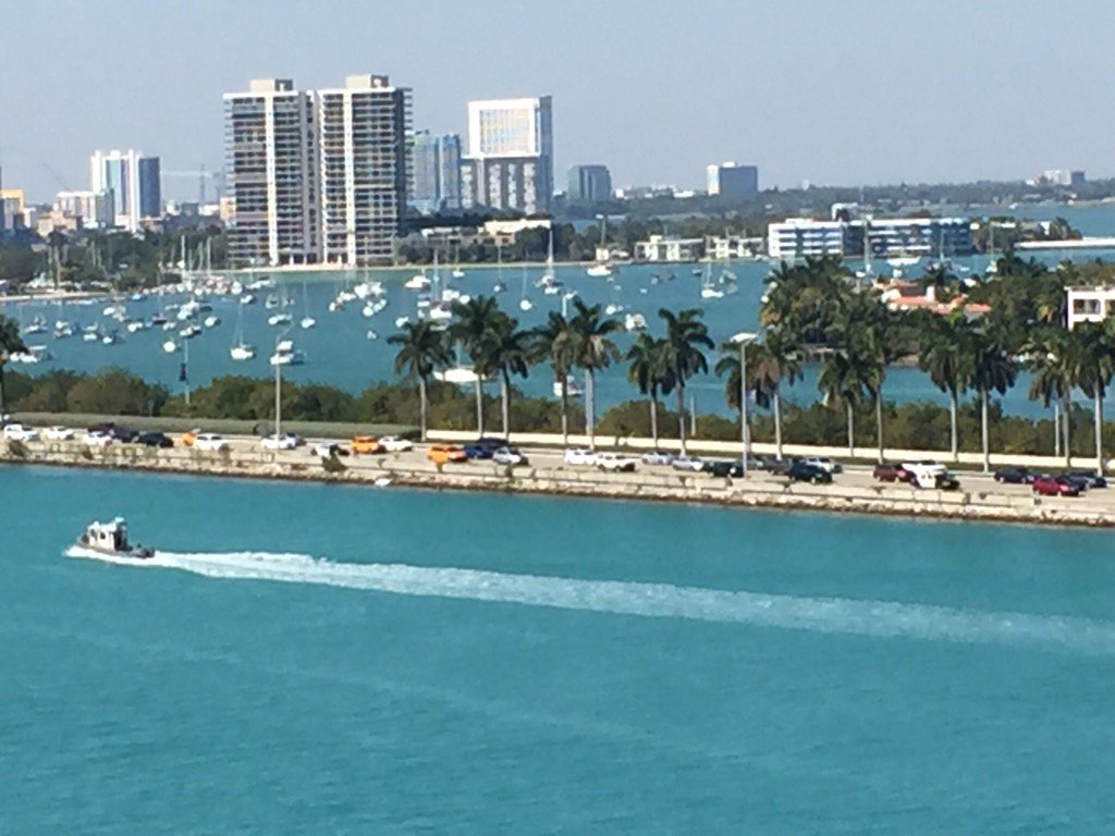 Rhonda L Johnson (rjbatiger) Twitter