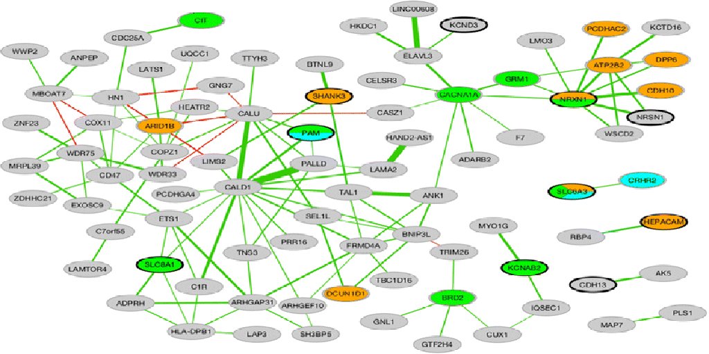 DES Daughter tweet media