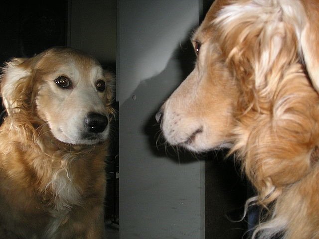 When you’re the one who coded an on page load modal asking for an email and you have to take a long look at yourself