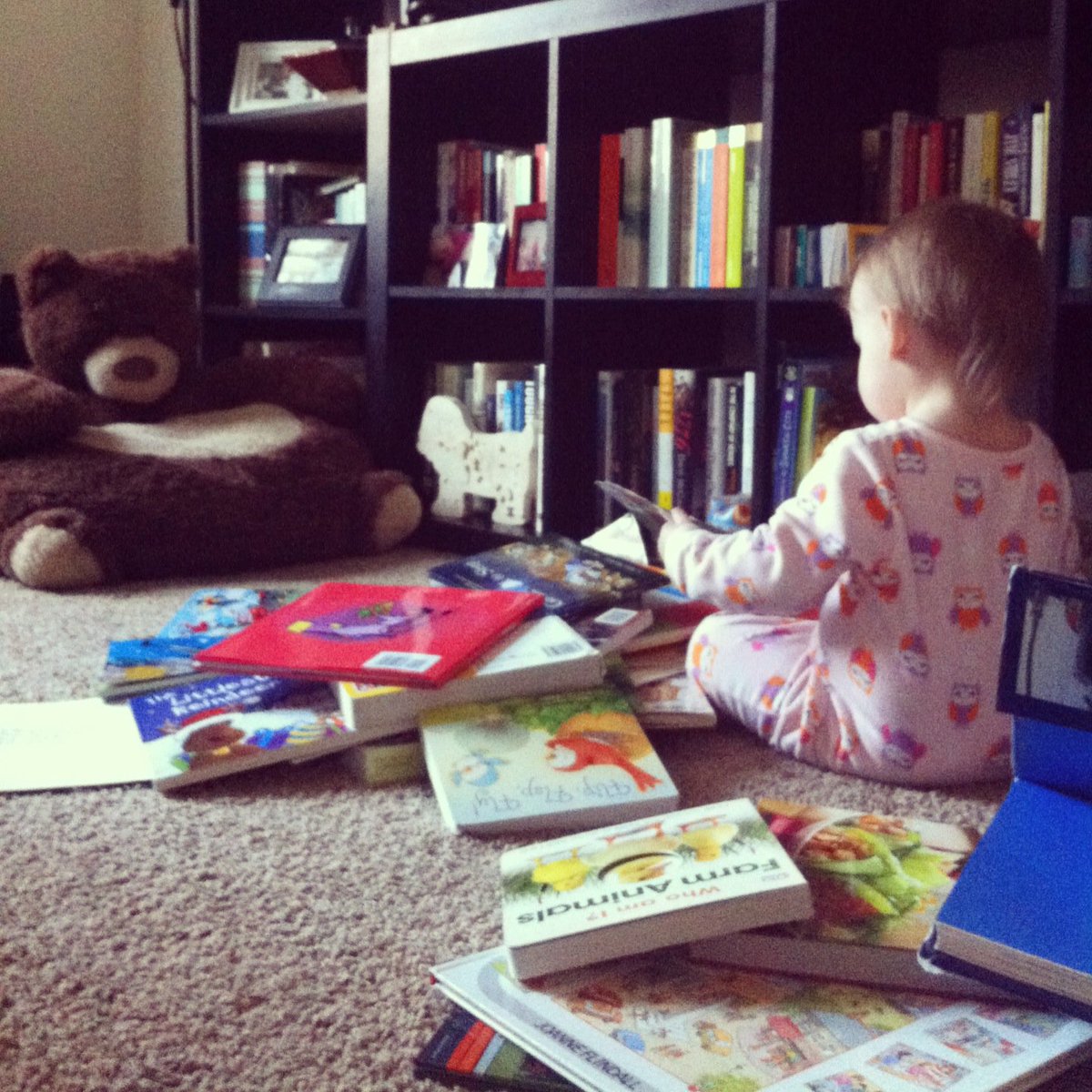 evanstonpl's tweet photo. Perfect #Evanston morning with bounty of books and a baby. #nevertooearlytoread https://t.co/6ZqcqYZ4tm