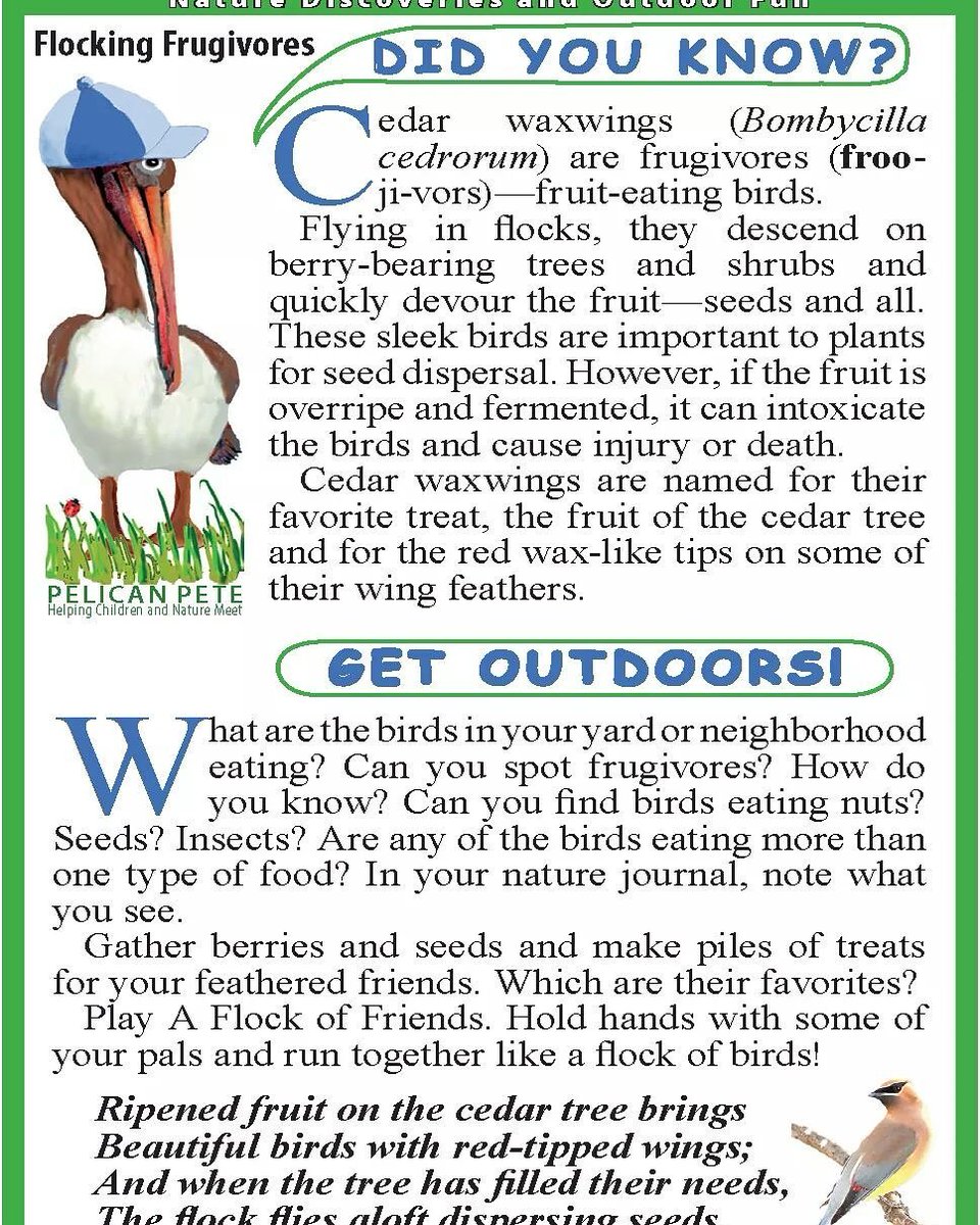 Get some #vitaminN and #GetOutdoorsFL with Pelican Pete's Backyard Adventure Cards. bit.ly/29xpvFG