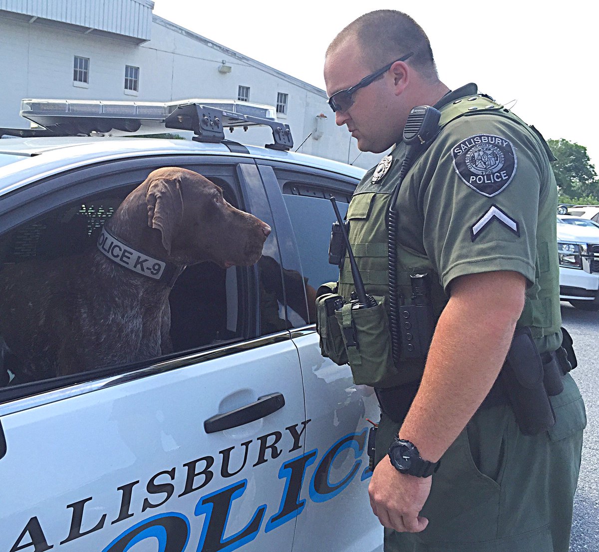 SPD_K9_Hank's tweet photo. Remember to leave your 4 leg friends at home. If it's 75 degrees outside the temp inside will reach 100+ degrees. https://t.co/SuTNdW7LoF