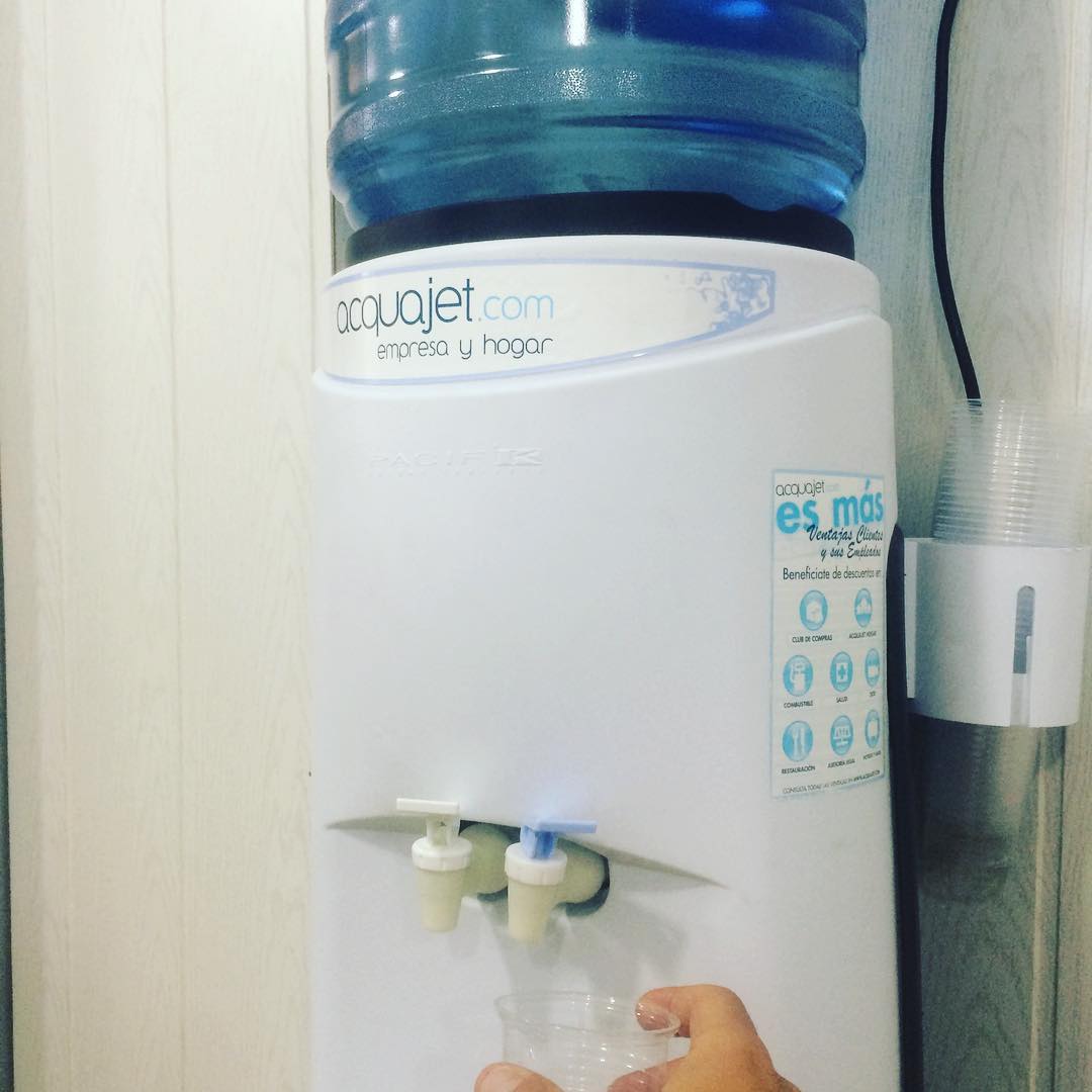 Anckla's tweet photo. Nuestra nueva compañera. Ahora sí que somos una empresa seria. 😂 https://t.co/KzQi85K2lZ